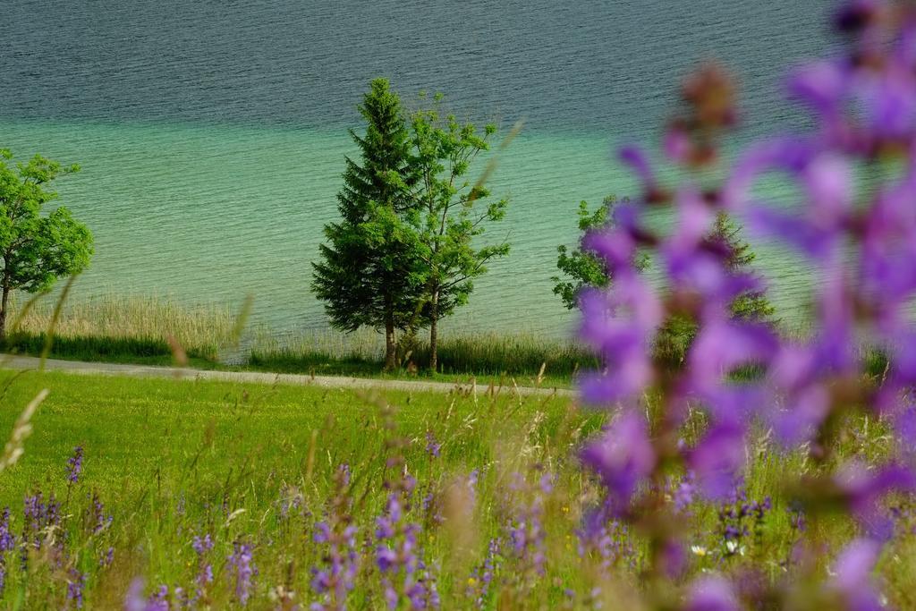 Draxl-Hof Ferienwohnungen Weissensee Εξωτερικό φωτογραφία